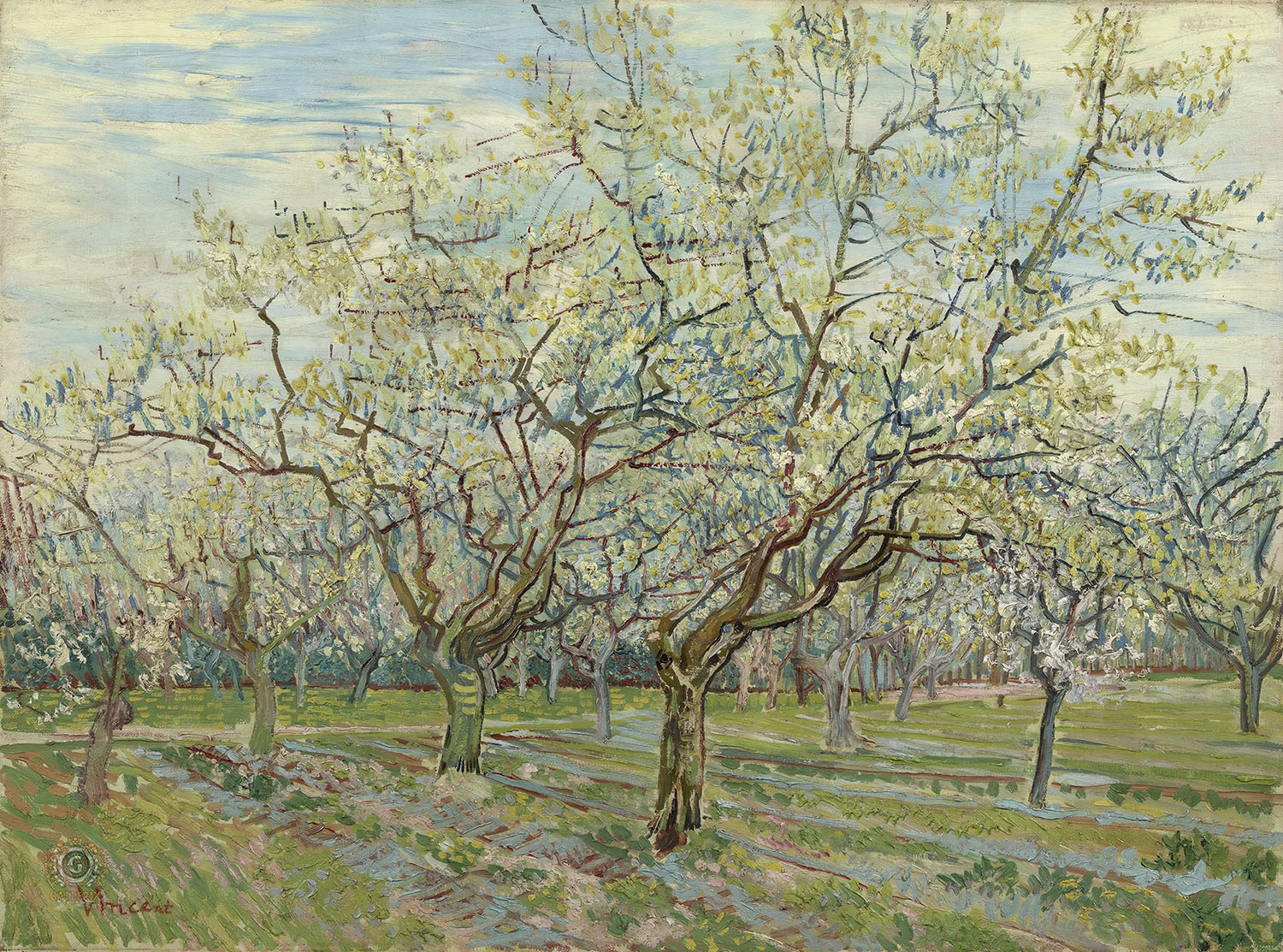 Винсент Ван Гог фруктовый сад в цвету 1888